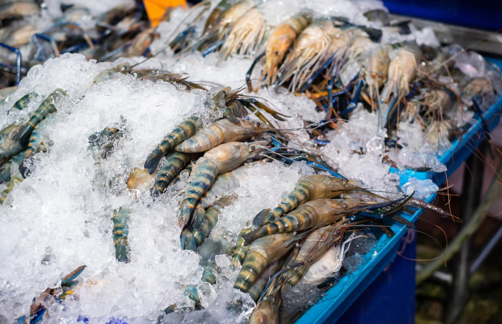 le marché de poissonnerie lauth