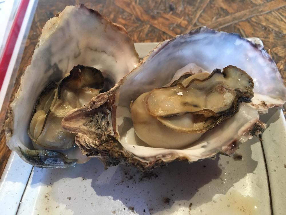 La poissonnerie Lauth vend des huitres